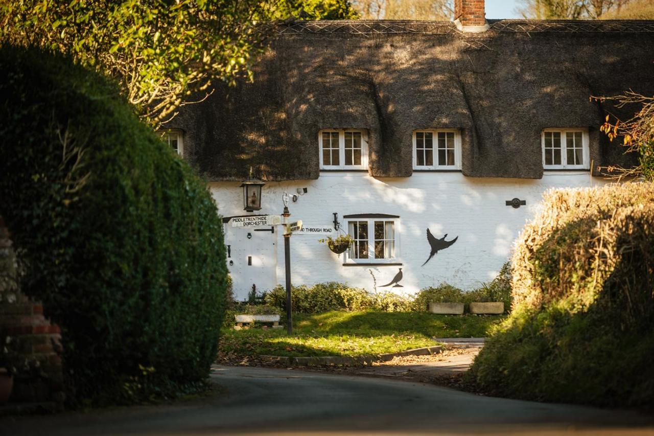 Brace Of Pheasants Hotel Alton Pancras Eksteriør billede