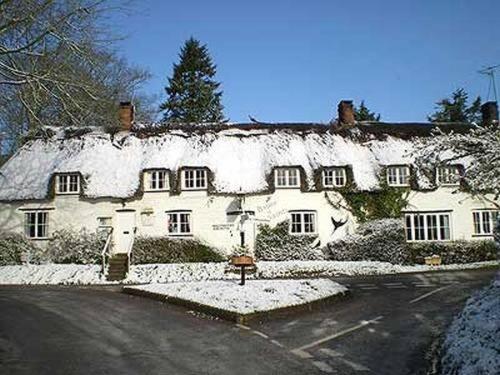 Brace Of Pheasants Hotel Alton Pancras Eksteriør billede